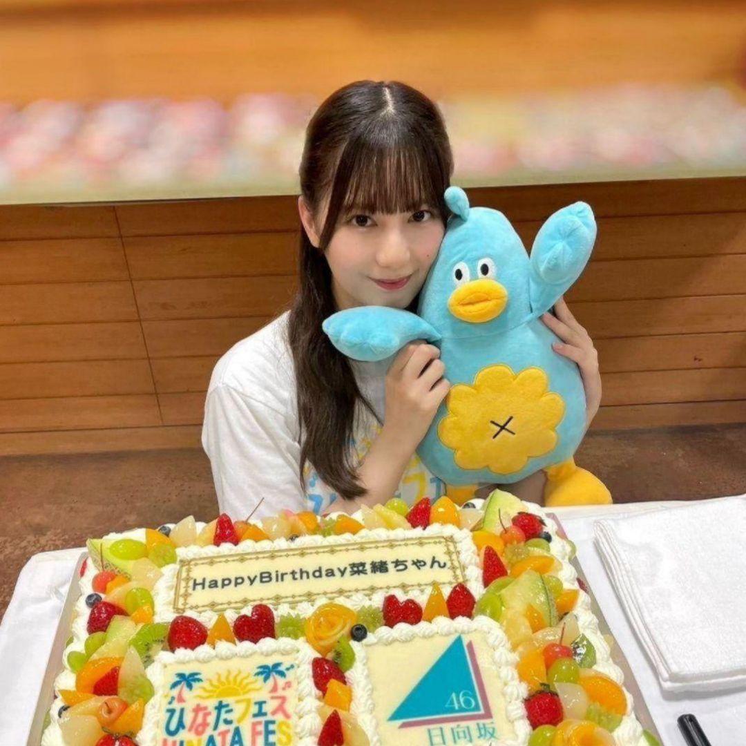【中サイズ】日向坂46 ポカ ぬいぐるみ 初代 ver