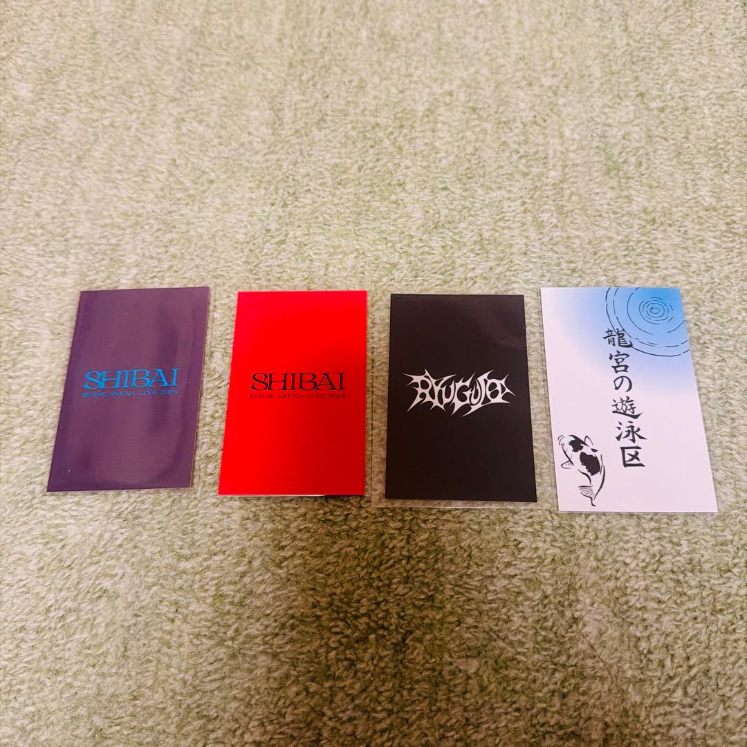 龍宮城 ITARUセット