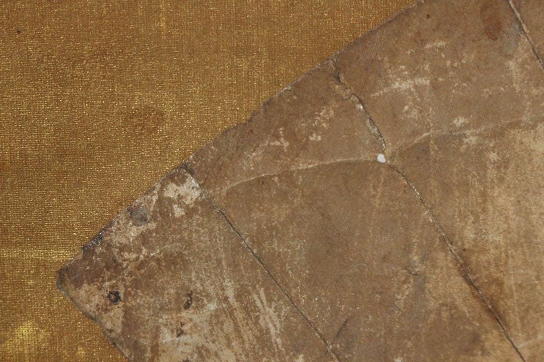 No5605 掛軸　作者不詳　在印　人物図　扇面　紙本着色　浮世絵　送料無料