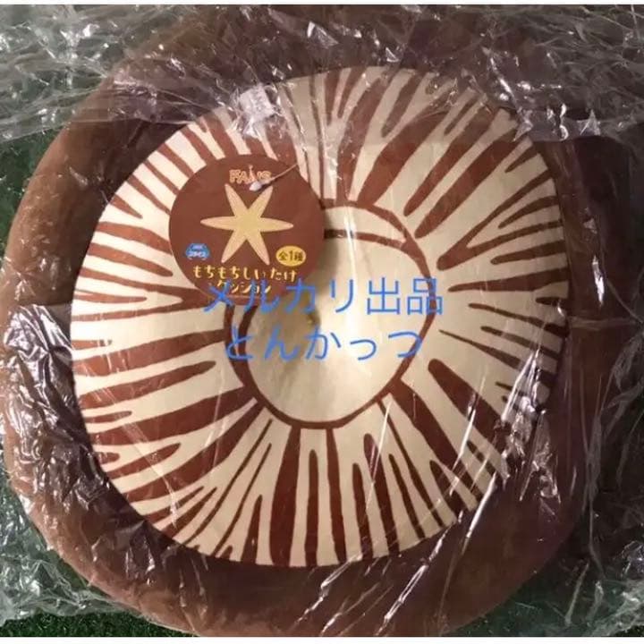 FANS もちもちしいたけクッション