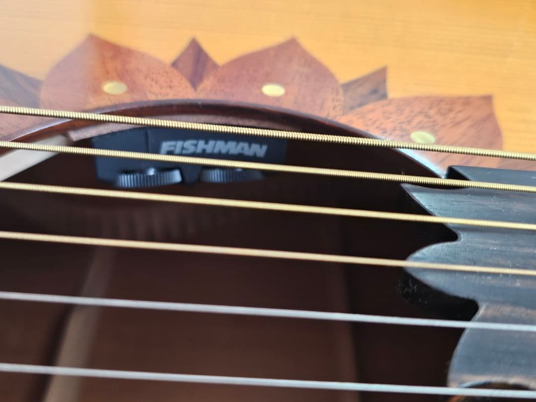 ゼマイティス 受注生産品 AAL-2000 ジャンボ ギブソン J-200