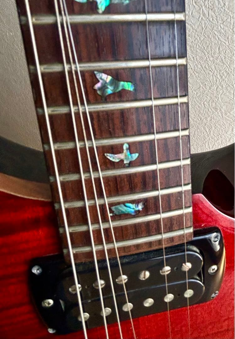 わ*め様 【希少モデル】PRS SE /SE Paul's Guitar Fir