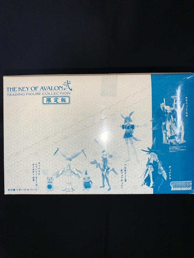 専用⭐️超レア！THE KEY OF AVALON弐 ⭐️ 1ケース・12BOX入り