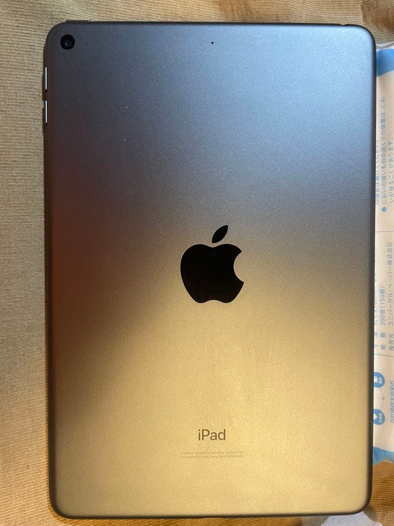 かずさん専用　ipad mini5 64GB wifi