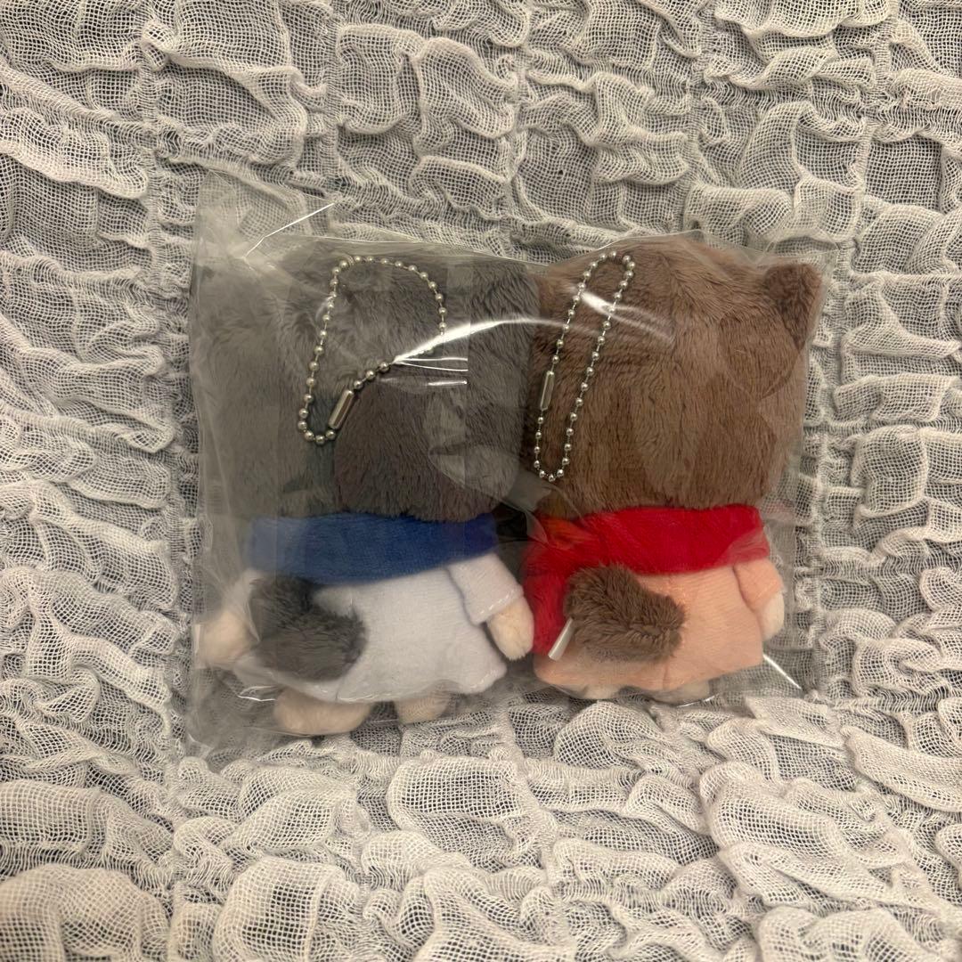 【レア】おおかみこどもの雨と雪　ぬいぐるみ　マスコット　細田守　キーチェーン