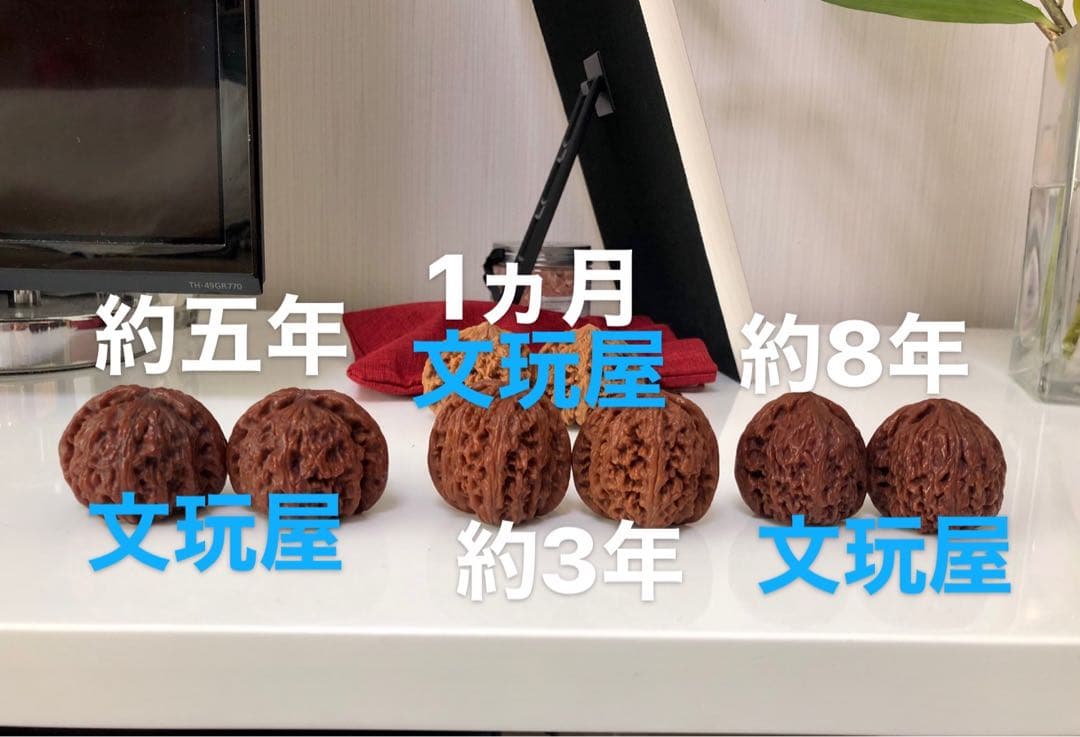 遊び胡桃 極品 形揃いの良い品 南将石 No.19コレクション 趣味 健康グッズ