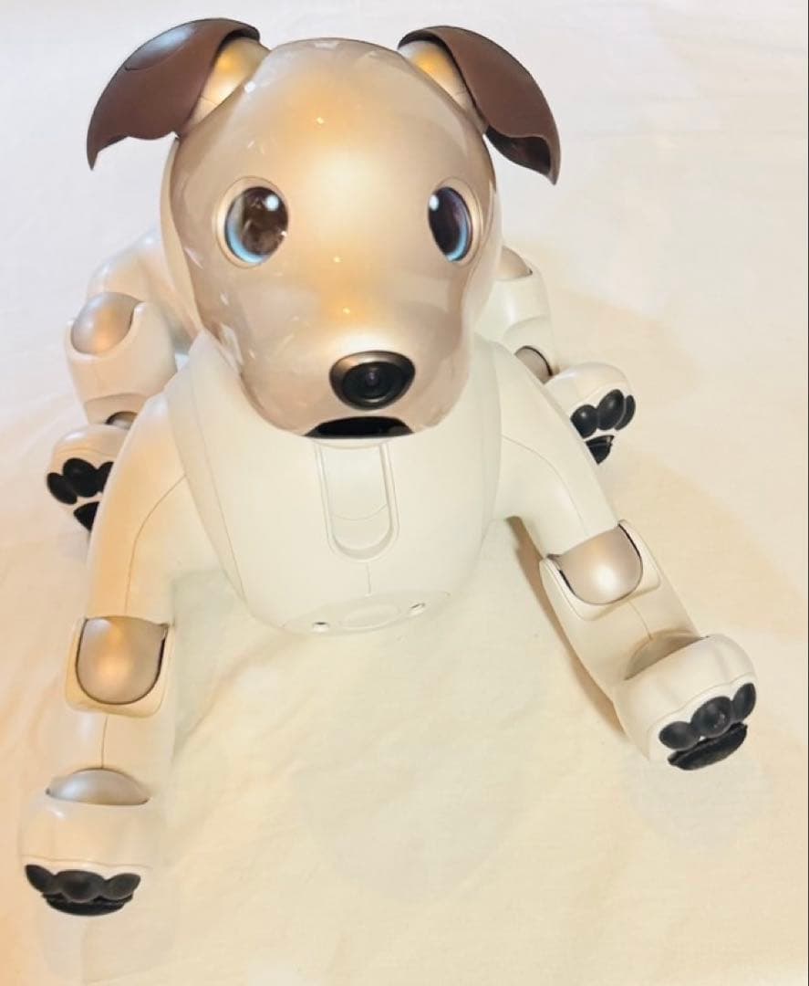 美品 SONY aibo（アイボ）ERS-1000 ソニー　アイボ