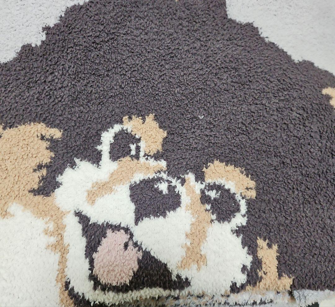 ジェラピケブランケット