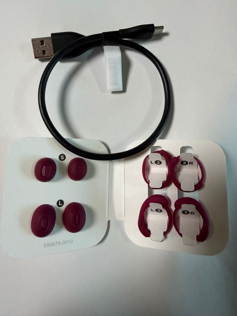 BOSE QuietComfort Ultra Earbuds (第2世代)