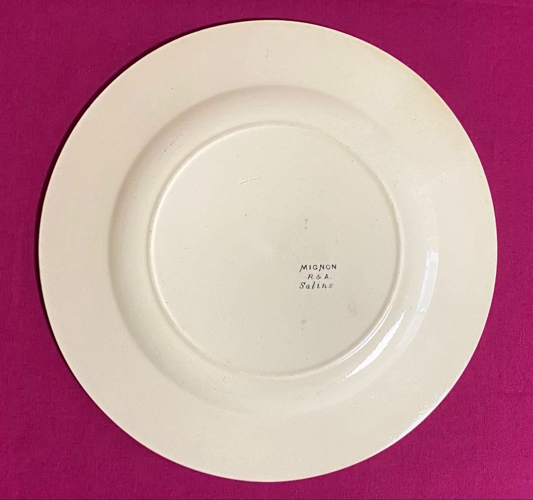 フランス Salins R&A « MIGNON » メインお皿