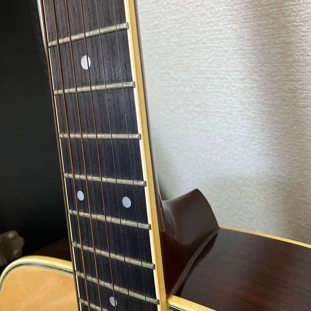 Morris F-25 アコースティックギター ハードケース付き