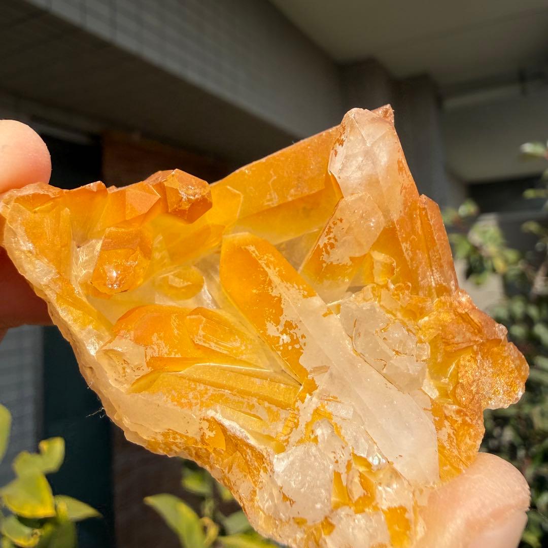 自然色　水晶クラスター モリオン　23個セット　1kg 水晶　原石　自然石c1