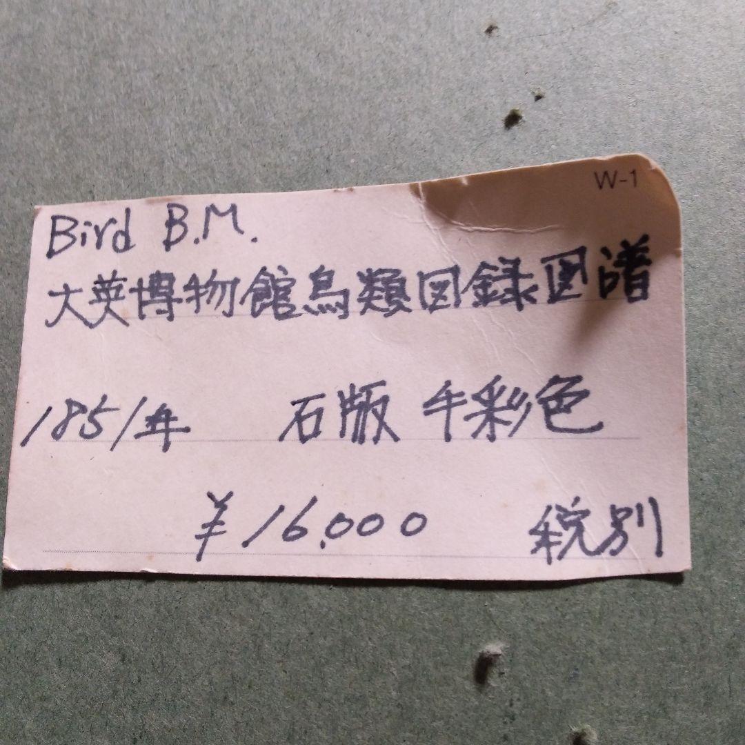 1851年　石版　手彩色