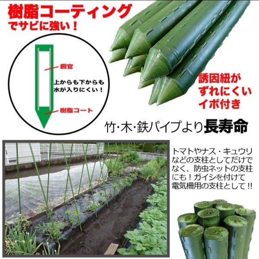 オリジナル 園芸用 イボ付き 鋼管 支柱 100本入り 8mm×120cm