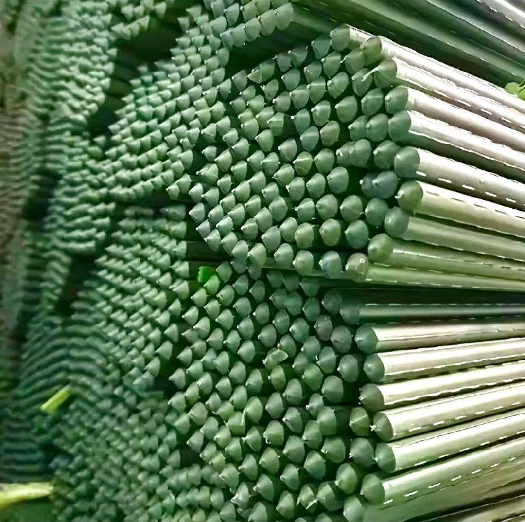 オリジナル 園芸用 イボ付き 鋼管 支柱 100本入り 8mm×120cm