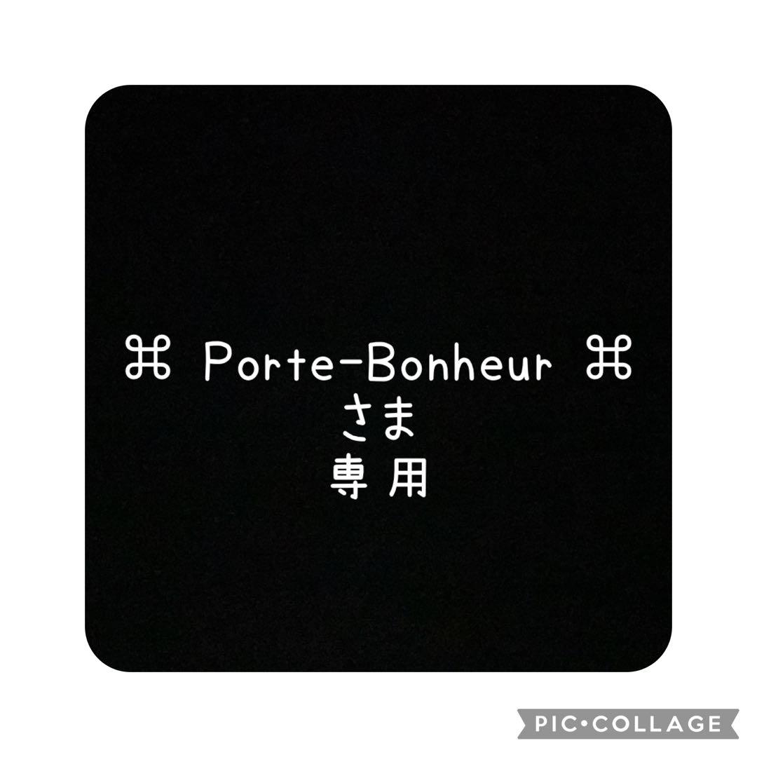 【専用】マルチフラットケース