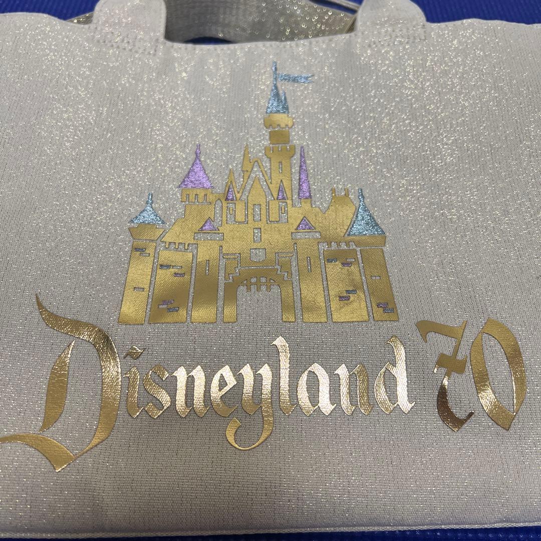 カリフォルニアディズニー　70周年　眠れる森の美女　トートバッグ　2WAY