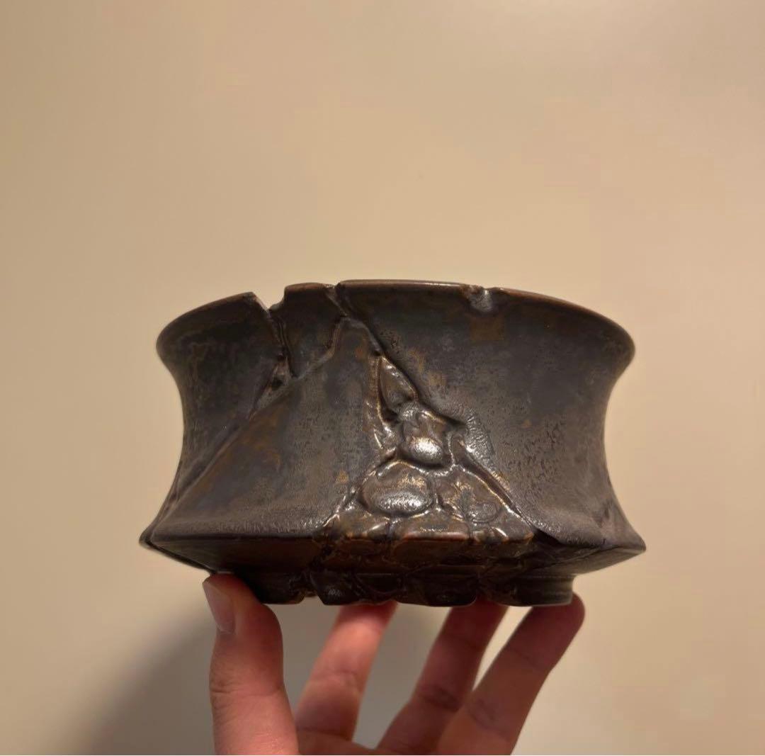 XL SIZE 植木鉢 作家鉢 アガベ グラキリス ホリダ 亀甲竜 恵比寿大黒