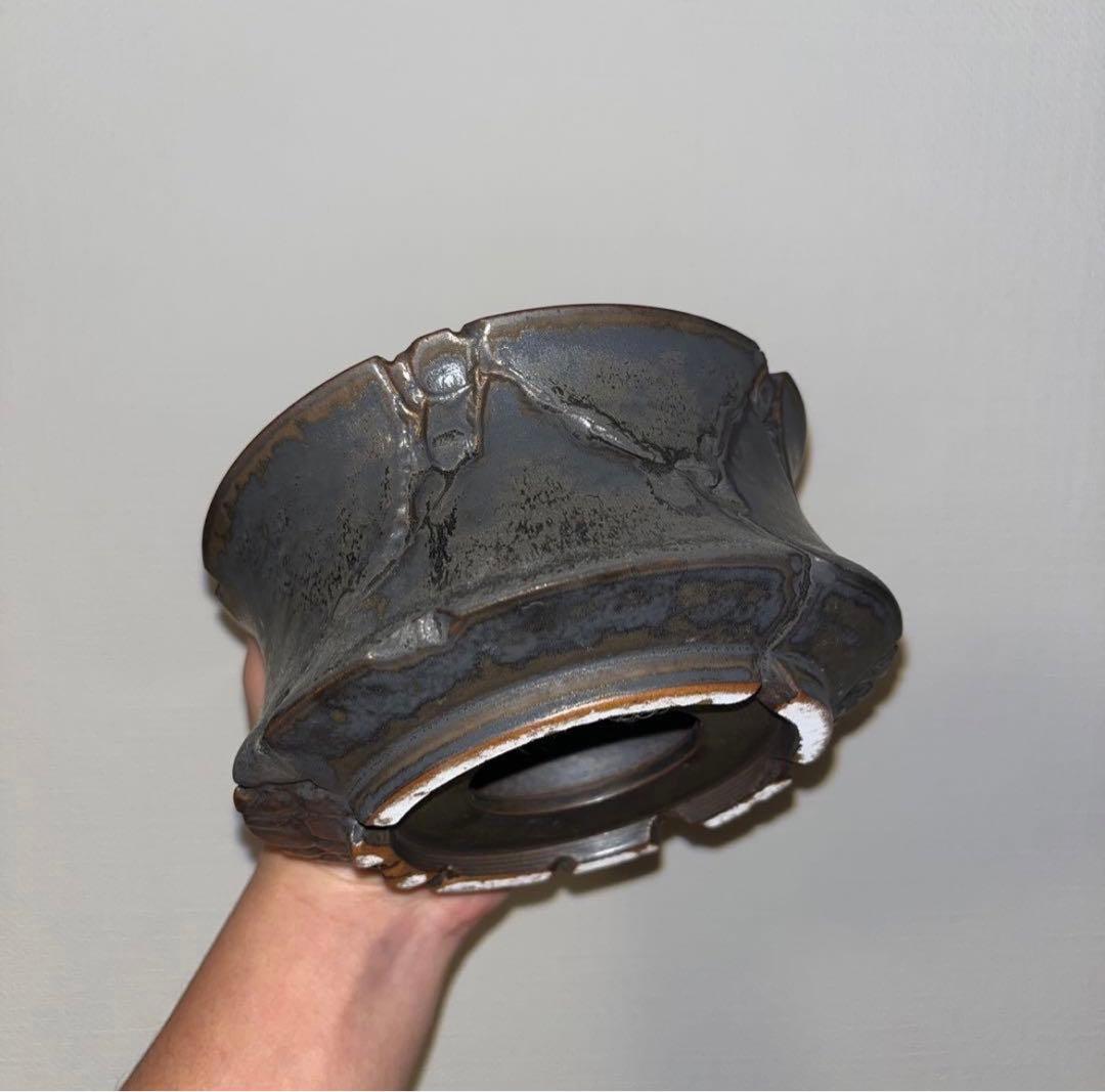 XL SIZE 植木鉢 作家鉢 アガベ グラキリス ホリダ 亀甲竜 恵比寿大黒