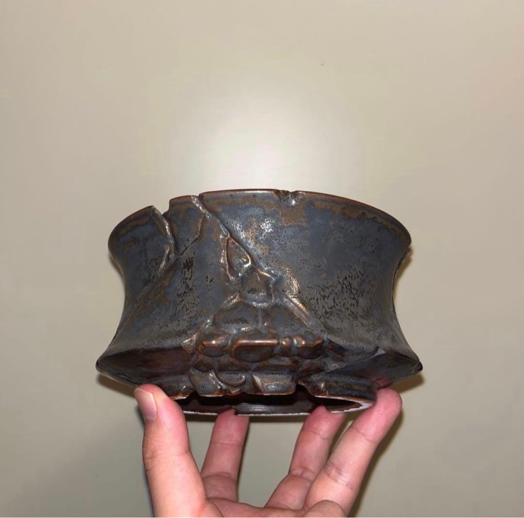 XL SIZE 植木鉢 作家鉢 アガベ グラキリス ホリダ 亀甲竜 恵比寿大黒