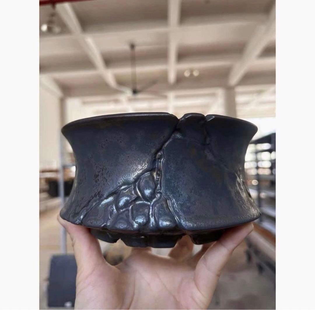 XL SIZE 植木鉢 作家鉢 アガベ グラキリス ホリダ 亀甲竜 恵比寿大黒