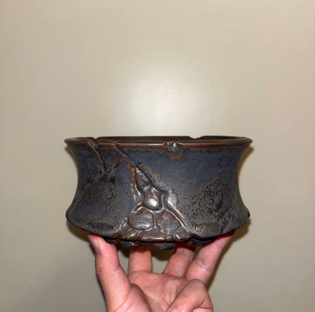 XL SIZE 植木鉢 作家鉢 アガベ グラキリス ホリダ 亀甲竜 恵比寿大黒