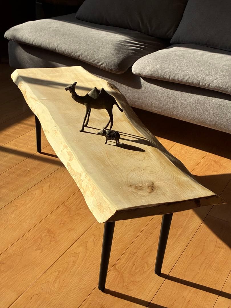 【一点もの】国産栃（トチ）一枚板センターテーブル　極上の光沢と白木の美しさ