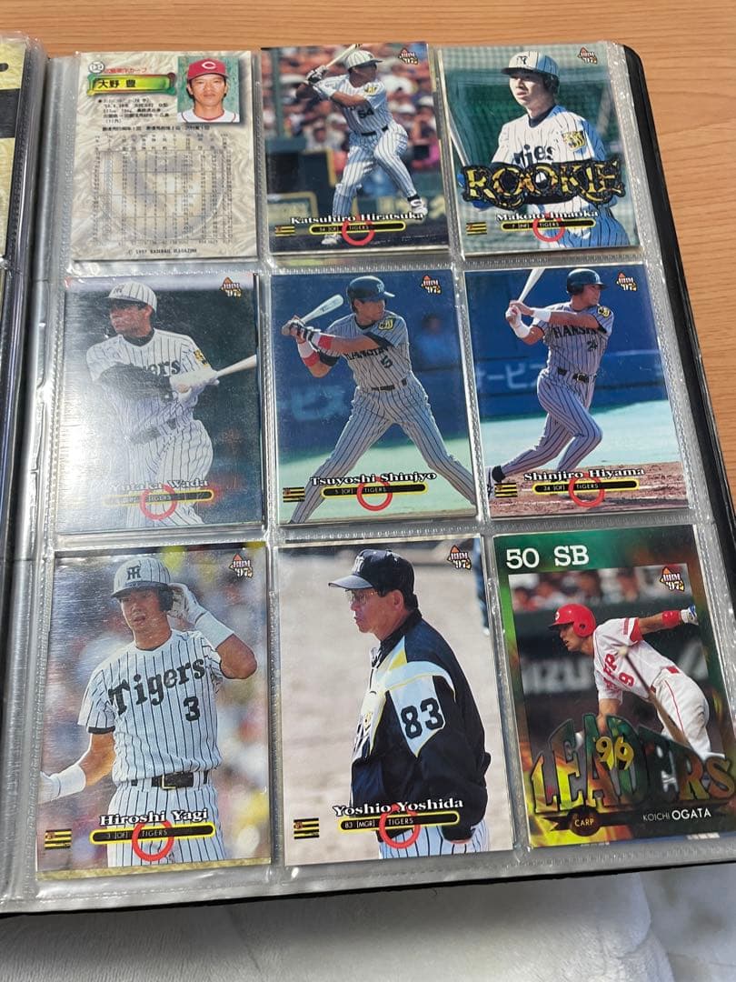 プロ野球ガード