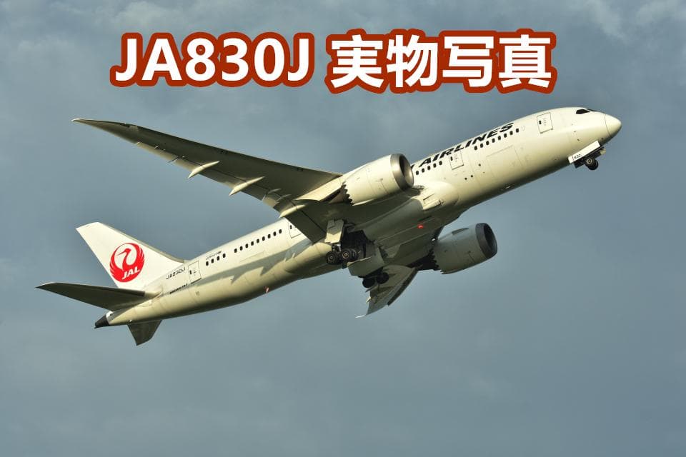 ☆JA830J★JAL日本航空B787ドリームライナーダイヤキャストモデル☆