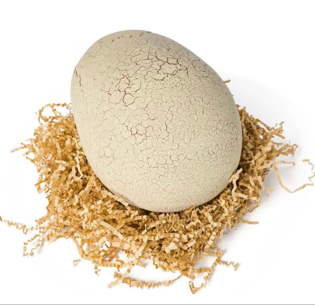 タカラトミー ジュラシックワールド T-レックスエッグ 音声反応型おもちゃ