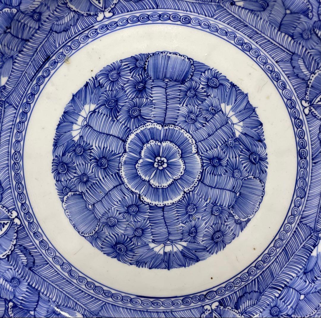 古伊万里　線描大皿　蛸唐草　染付　大明成化年製　　箱付　d991