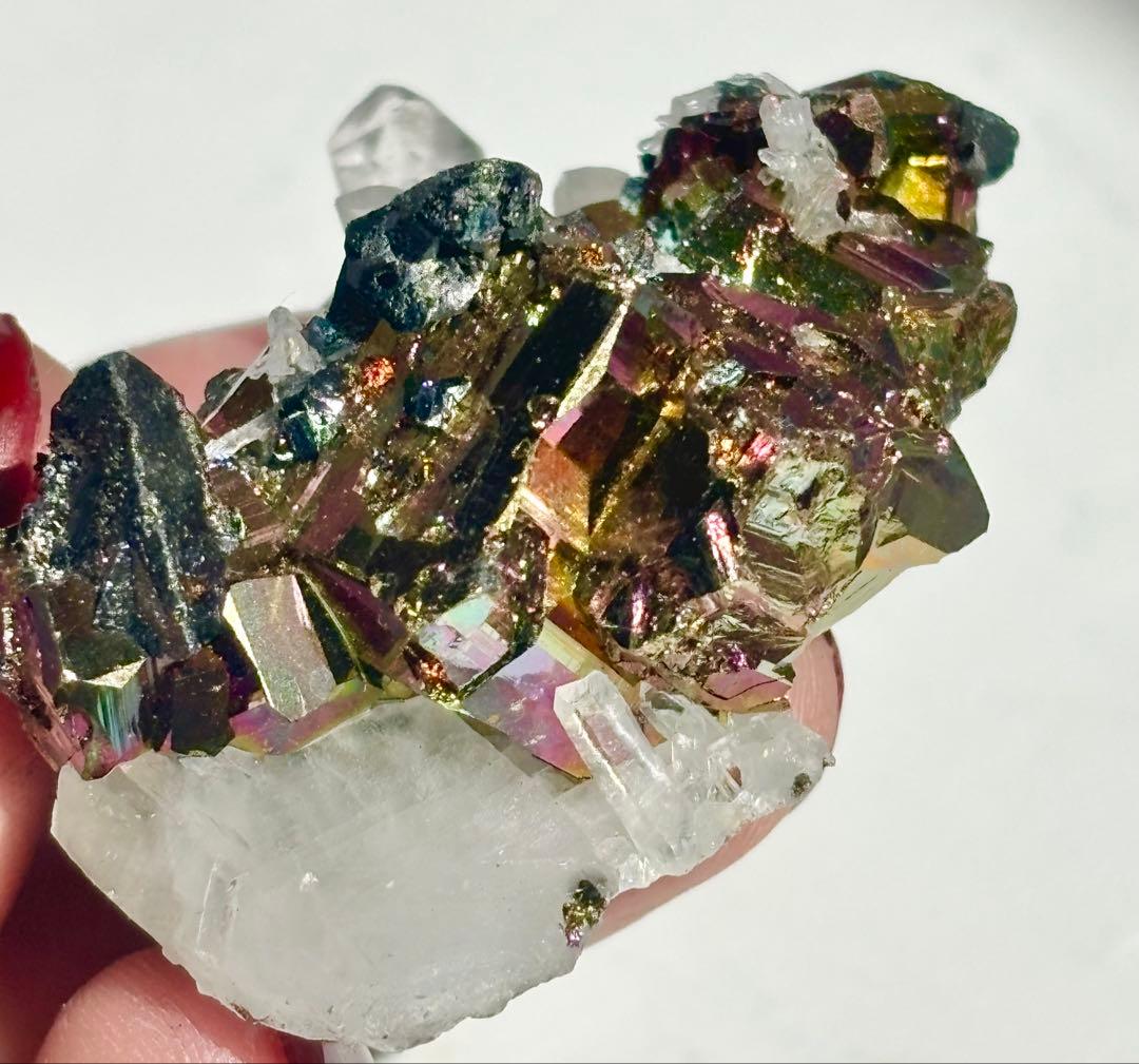 《レインボー結晶》チャルコパイライト水晶共生標本