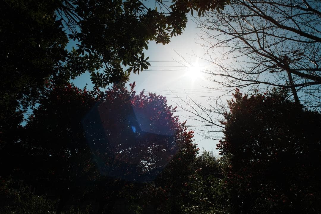 【整備＆テスト済】Canon FD 24mm F2.8 S.S.C 277