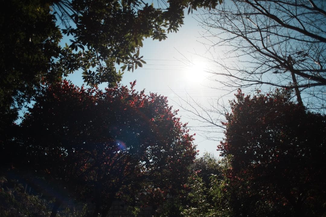 【整備＆テスト済】Canon FD 24mm F2.8 S.S.C 277