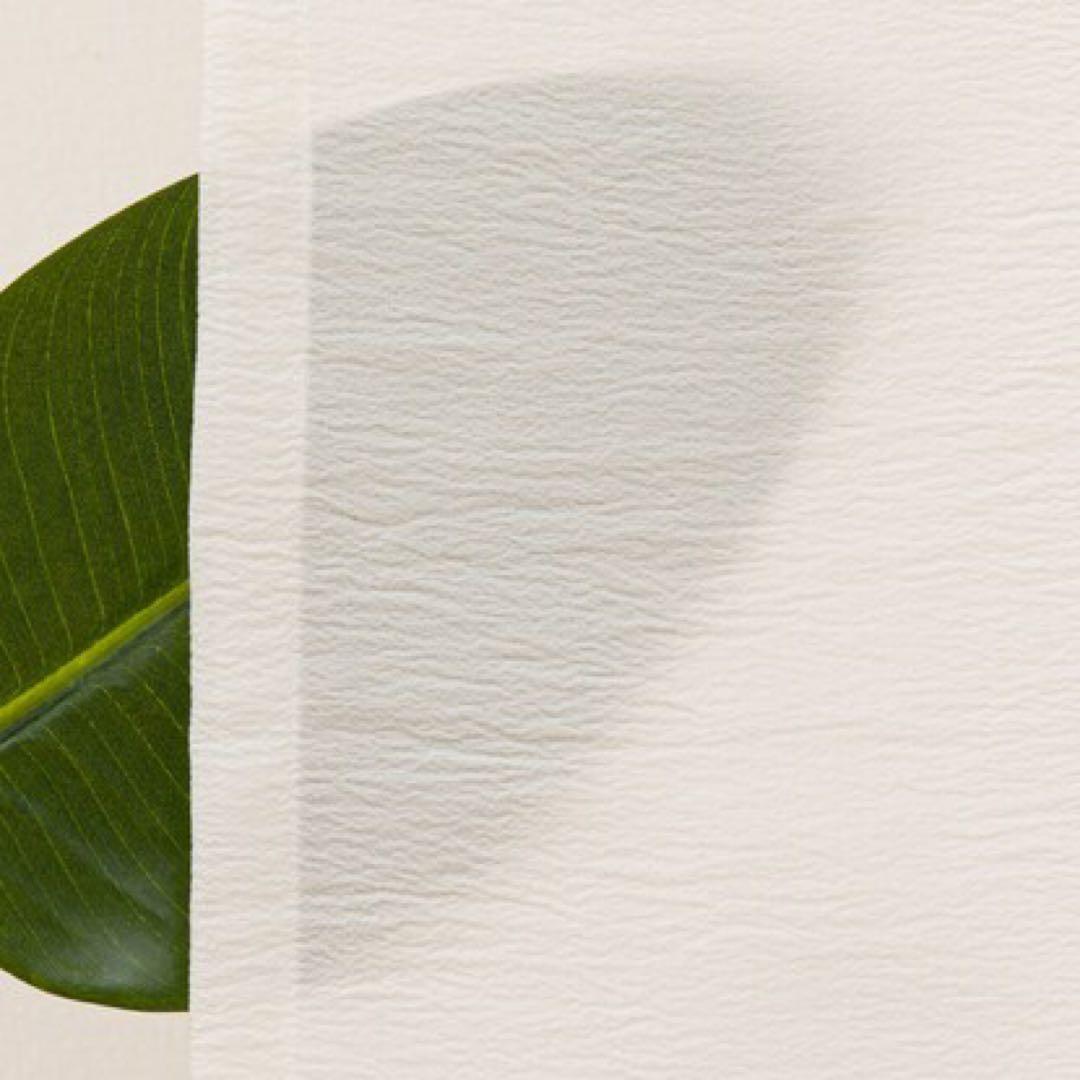 ニトリレースカーテン　新品・未使用