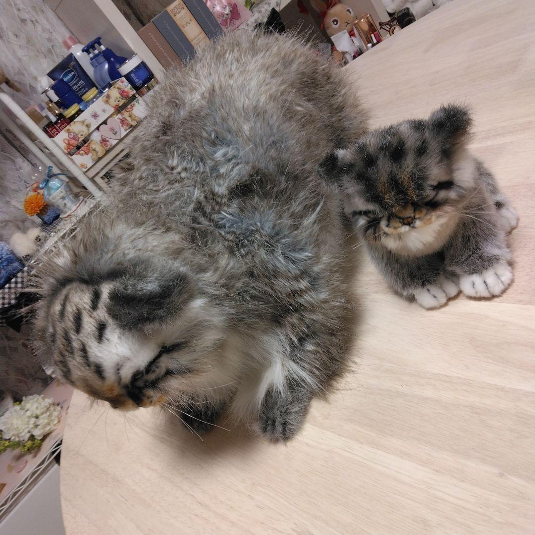 ハンサリアルマヌルネコぬいぐるみセット 大小