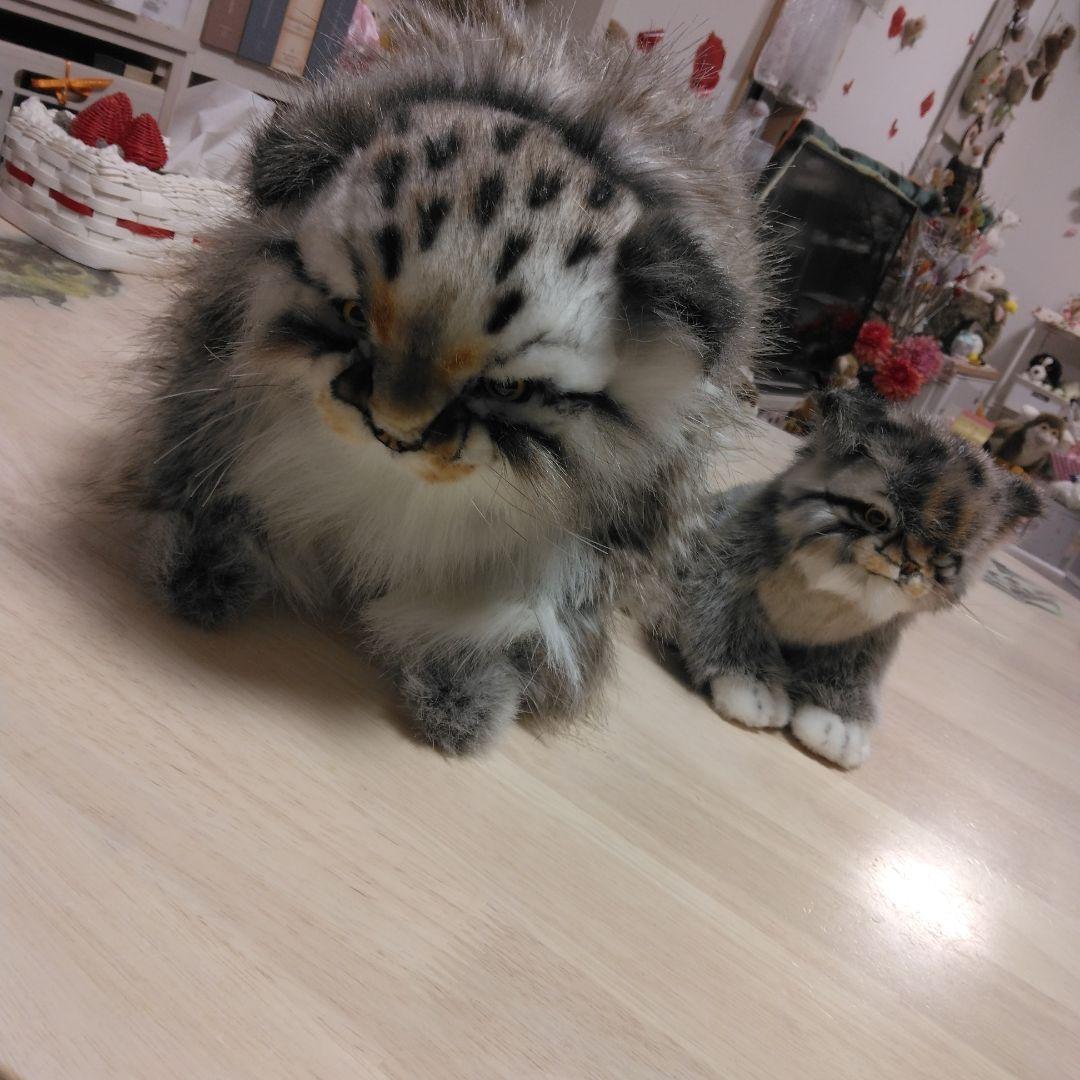 ハンサリアルマヌルネコぬいぐるみセット 大小