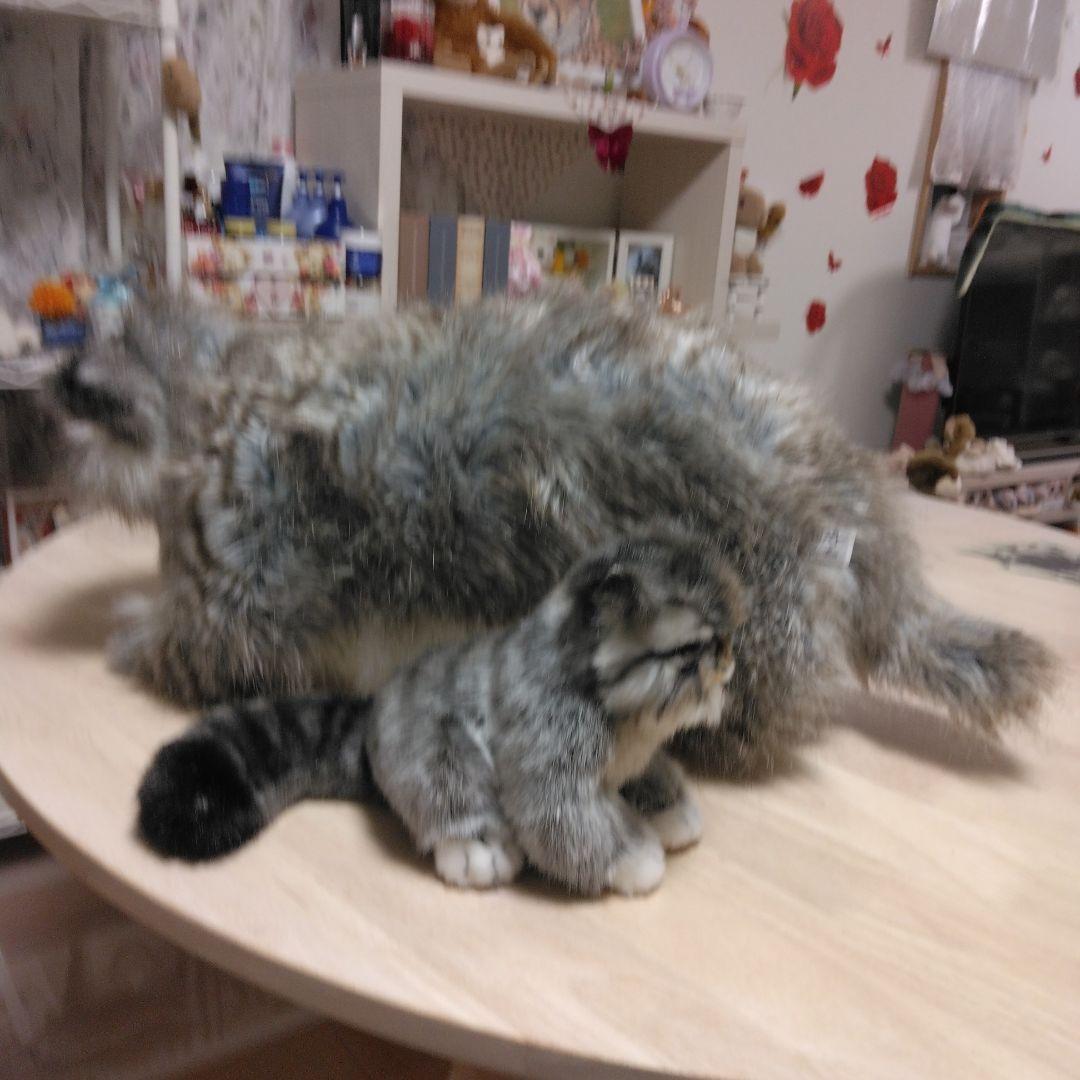 ハンサリアルマヌルネコぬいぐるみセット 大小