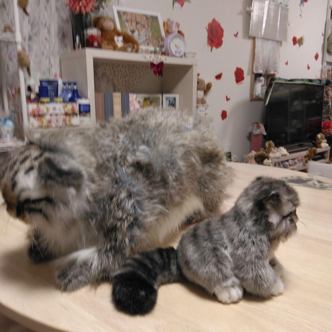 ハンサリアルマヌルネコぬいぐるみセット 大小