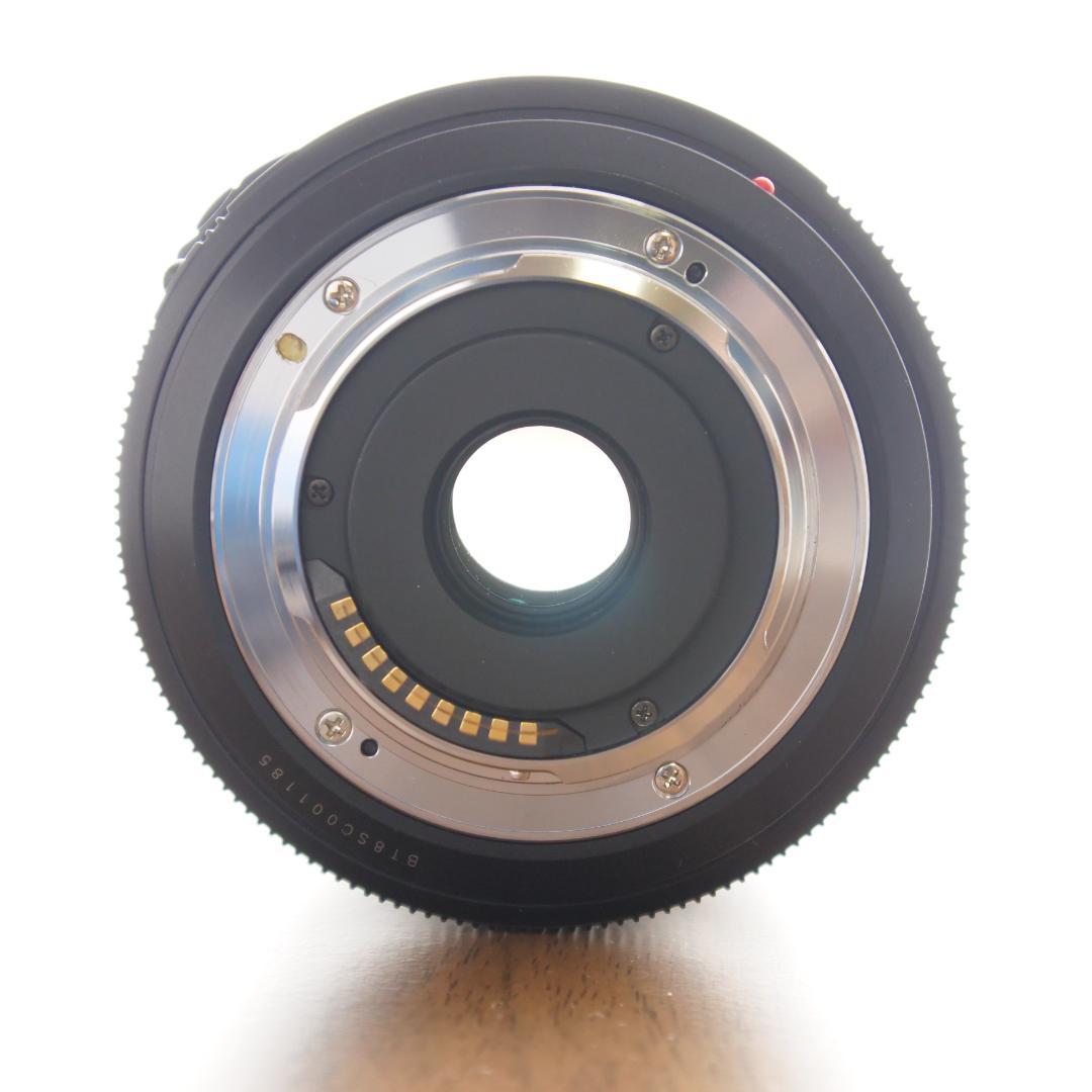 LEICA D 14-150mm アダプター付 L-RS014150