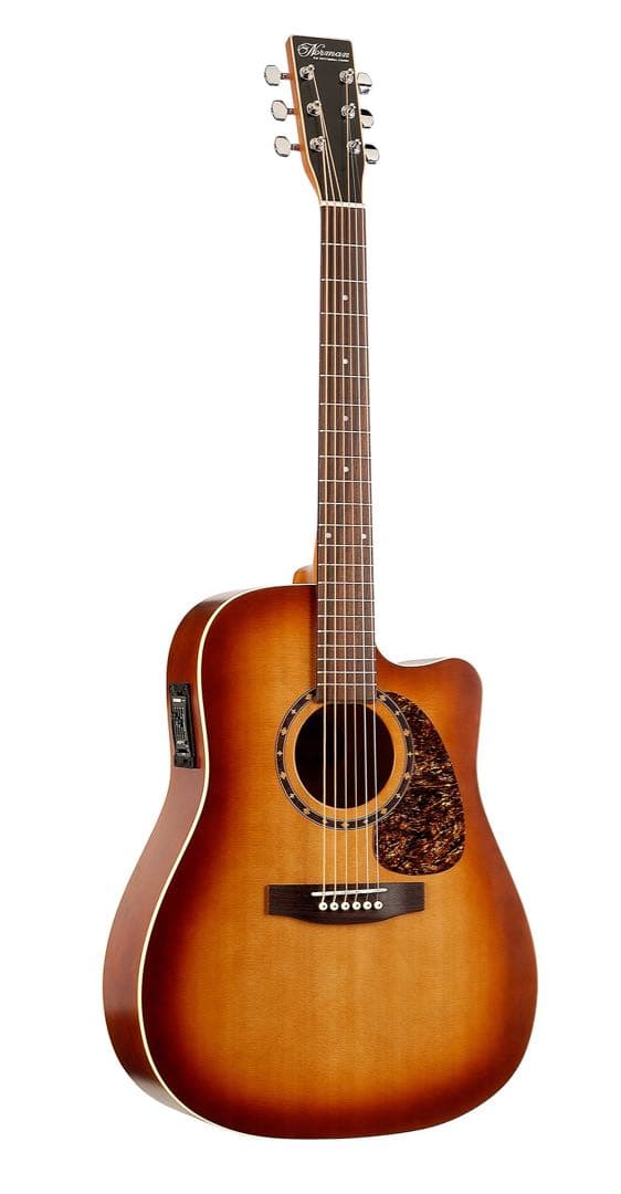[れてん使用]Normanノーマンアコースティックギター B18 【国内正規品】