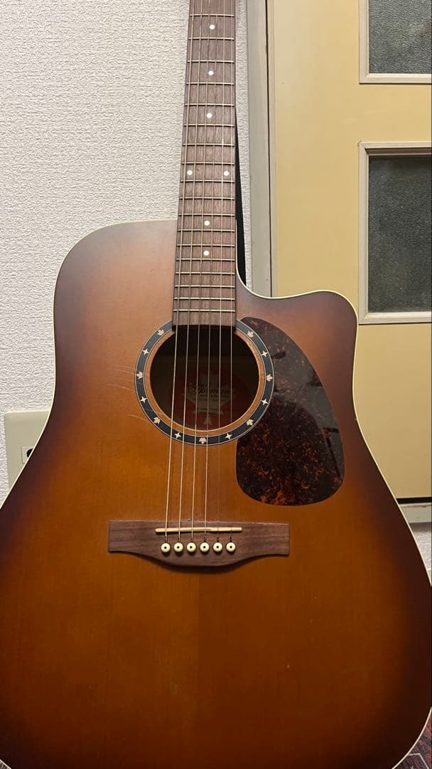 [れてん使用]Normanノーマンアコースティックギター B18 【国内正規品】