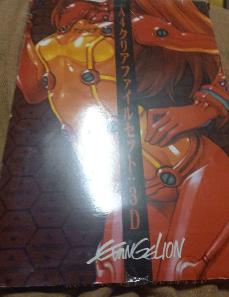 レア☆新世紀エヴァンゲリオン☆A４クリアファイルセット☆3D☆両面プリント♪