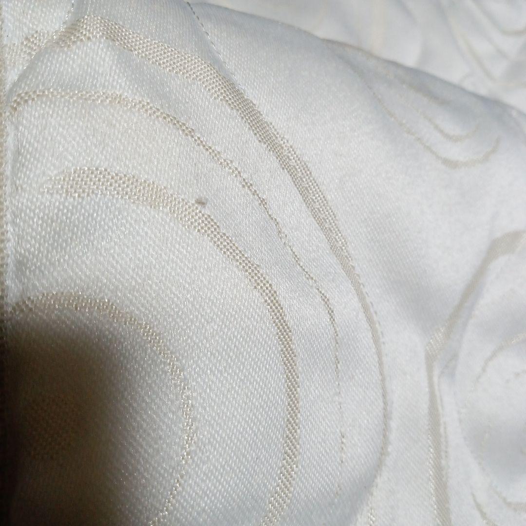 お値下げ　ALIVEN mig3 リチャージスリム　白　中古　インヴェル