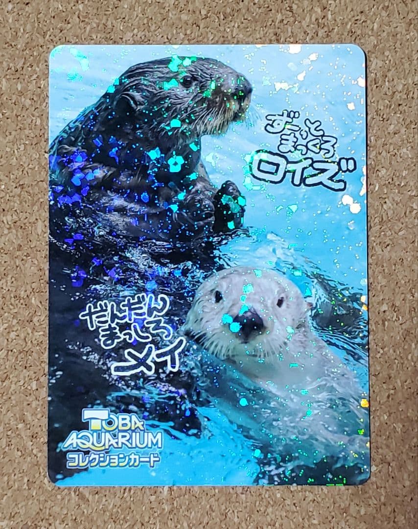 【激レア】鳥羽水族館 コレクションカード第2弾 ラッコ ロイズ メイ