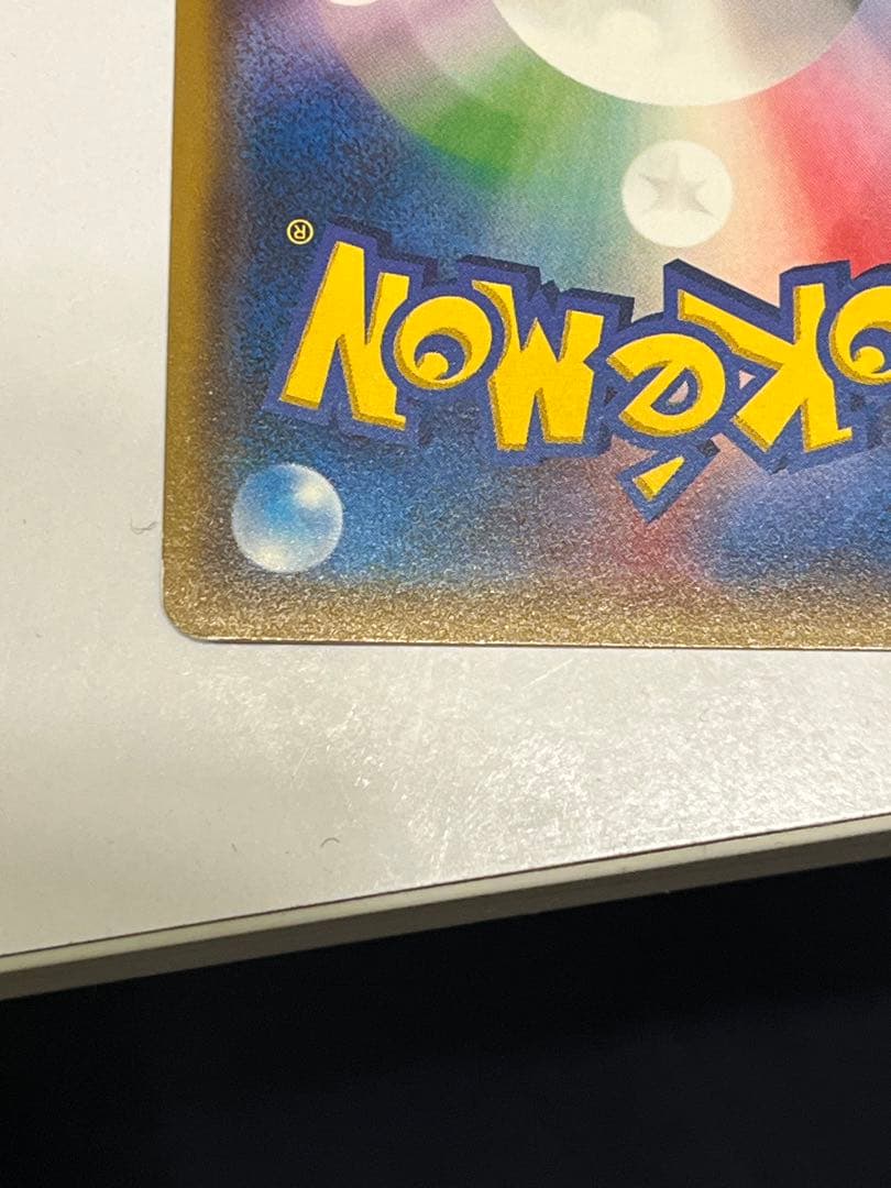 ポンチョを着たイーブイ サンダース 目立つ傷などなし