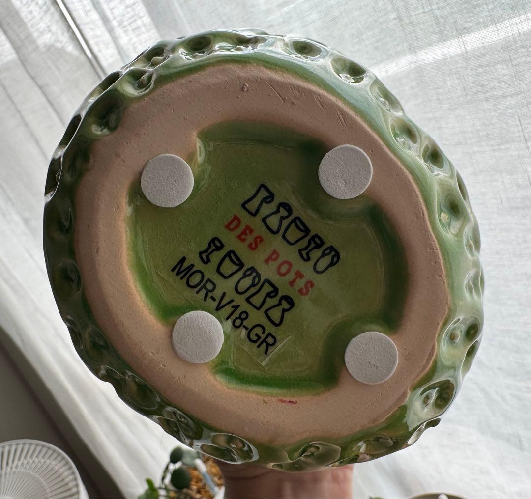 限定値下げ中‼️DESPOTSデスポッツストロベリー花瓶グリーンLフラワーベース