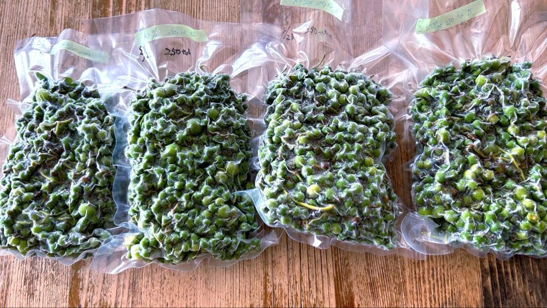 天然馬ブドウ　青い実　1キロ　真空パック冷凍　秋田県産ブスノミ　馬葡萄