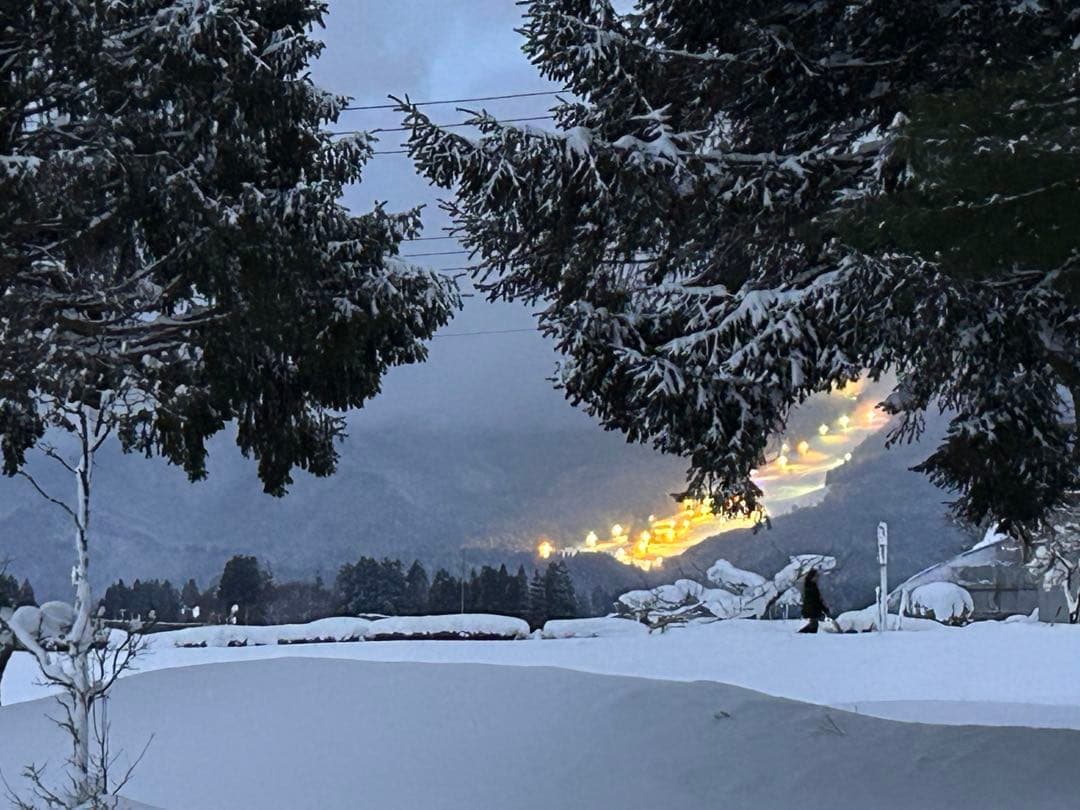 天然馬ブドウ　青い実　1キロ　真空パック冷凍　秋田県産ブスノミ　馬葡萄