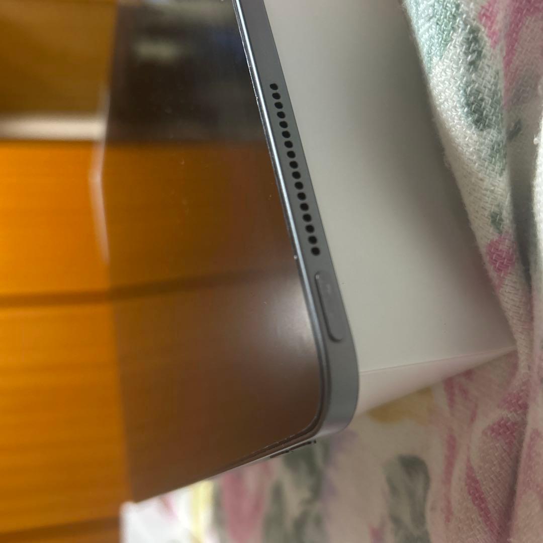 iPad Pro 12.9インチ 256GB 4世代+Apple pencil